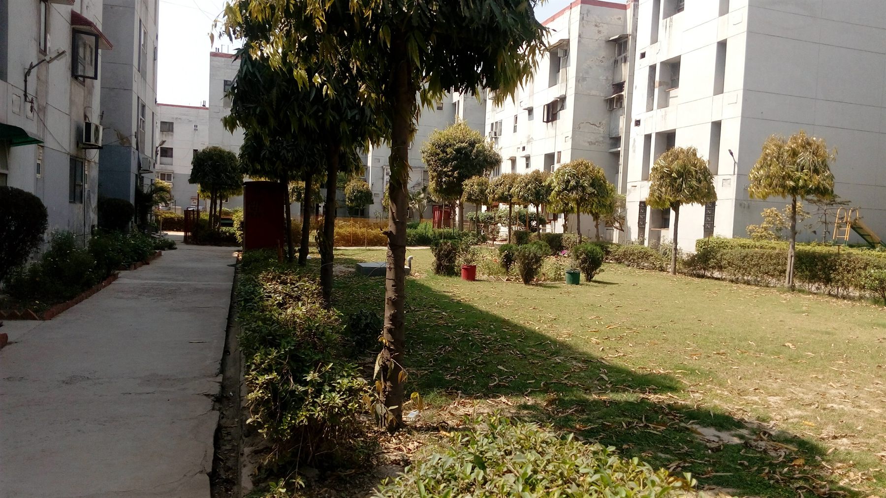 A second lawn in the C-Type quarter