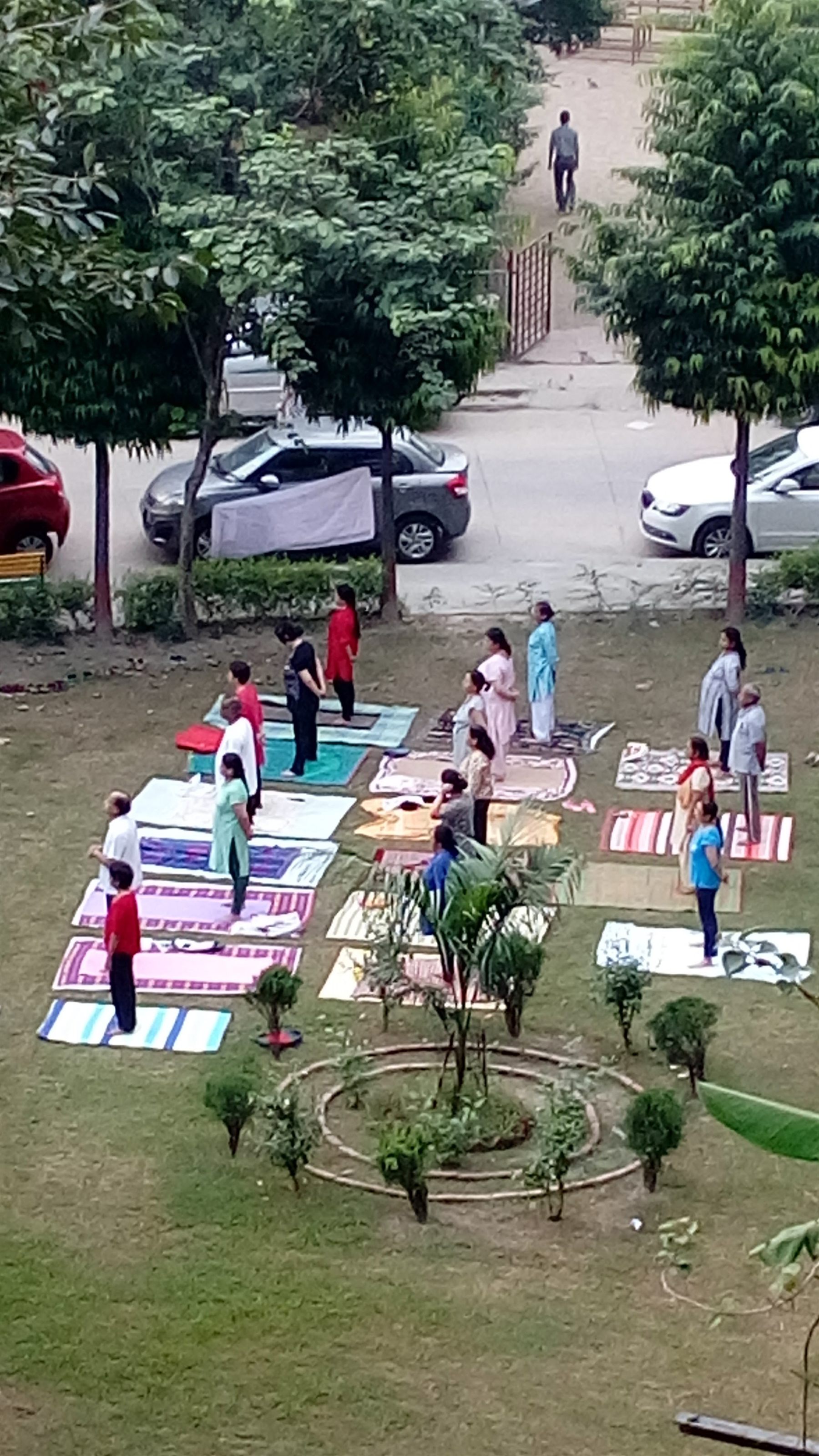 Morning yoga in the society park